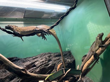 サンシャイン水族館に投稿された画像（2021/12/22）