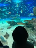 サンシャイン水族館に投稿された画像（2021/12/23）