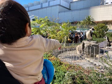 サンシャイン水族館に投稿された画像（2021/12/22）