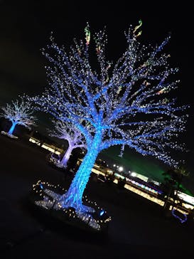 東京メガイルミに投稿された画像（2021/12/22）