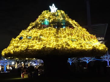 東京メガイルミに投稿された画像（2021/12/22）