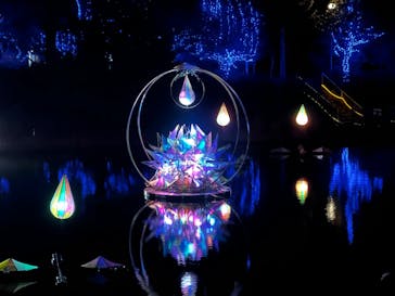 KYOTO ILLUMINATION SYNESTHESIA HILLS るり渓温泉に投稿された画像（2021/12/22）