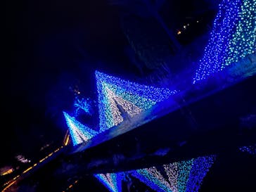 KYOTO ILLUMINATION SYNESTHESIA HILLS るり渓温泉に投稿された画像（2021/12/22）