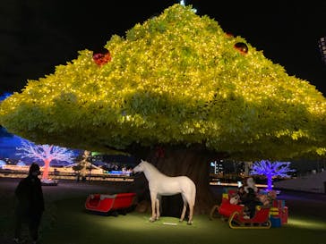 東京メガイルミに投稿された画像（2021/12/23）