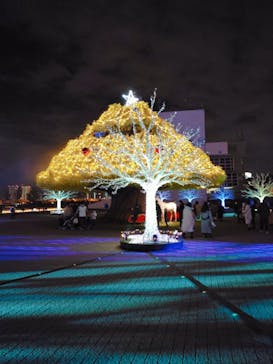 東京メガイルミに投稿された画像（2021/12/23）