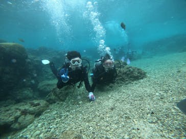 武藤潜水に投稿された画像（2021/12/23）