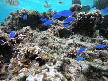 武藤潜水に投稿された画像（2021/12/23）