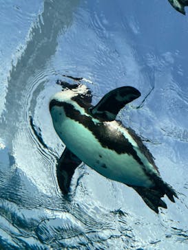 サンシャイン水族館に投稿された画像（2021/12/23）