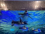 すみだ水族館に投稿された画像（2021/12/23）