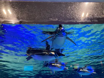 すみだ水族館に投稿された画像（2021/12/23）