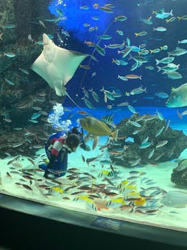 サンシャイン水族館に投稿された画像（2021/12/23）