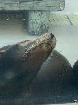 サンシャイン水族館に投稿された画像（2021/12/23）