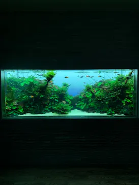 すみだ水族館に投稿された画像（2021/12/23）