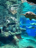 名古屋港水族館に投稿された画像（2021/12/23）