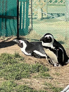 名古屋港水族館に投稿された画像（2021/12/23）