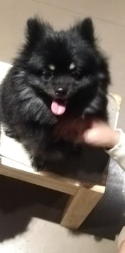 Moff animal world MARK IS みなとみらい店に投稿された画像（2021/12/23）