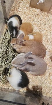 Moff animal world MARK IS みなとみらい店に投稿された画像（2021/12/23）