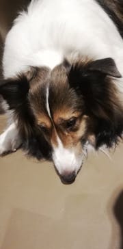 Moff animal world MARK IS みなとみらい店に投稿された画像（2021/12/23）