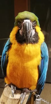 Moff animal world MARK IS みなとみらい店に投稿された画像（2021/12/23）