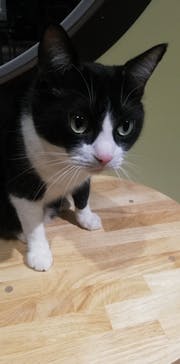 Moff animal world MARK IS みなとみらい店に投稿された画像（2021/12/23）