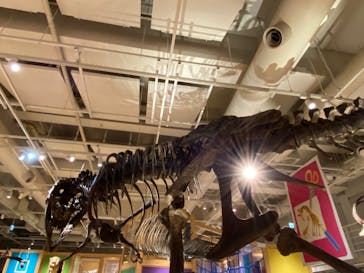 国立科学博物館に投稿された画像（2021/12/23）