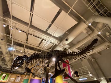 国立科学博物館に投稿された画像（2021/12/23）