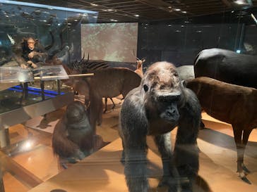 国立科学博物館に投稿された画像（2021/12/23）