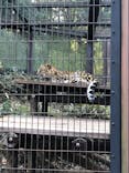 よこはま動物園ズーラシアに投稿された画像（2021/12/23）