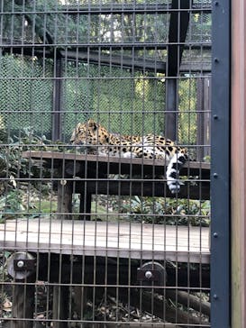 よこはま動物園ズーラシアに投稿された画像（2021/12/23）