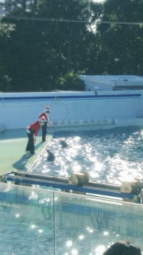 しながわ水族館に投稿された画像（2021/12/23）