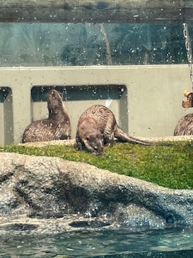 サンシャイン水族館に投稿された画像（2021/12/23）