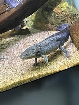 サンシャイン水族館に投稿された画像（2021/12/23）