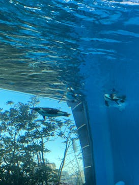 サンシャイン水族館に投稿された画像（2021/12/23）