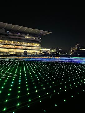 東京メガイルミに投稿された画像（2021/12/23）