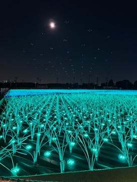 東京メガイルミに投稿された画像（2021/12/23）