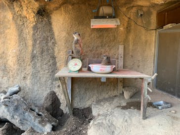 九十九島動植物園森きららに投稿された画像（2021/12/23）