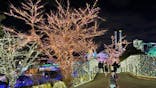 よみうりランド 遊園地に投稿された画像（2021/12/23）