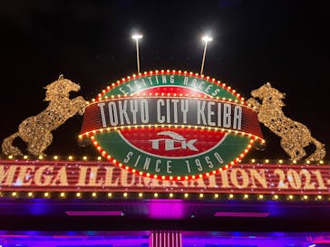東京メガイルミに投稿された画像（2021/12/23）