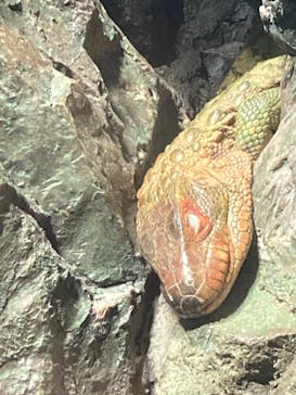 サンシャイン水族館に投稿された画像（2021/12/23）