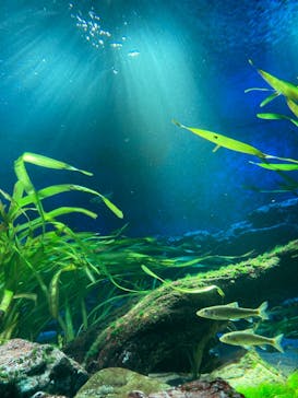 サンシャイン水族館に投稿された画像（2021/12/23）