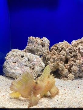 サンシャイン水族館に投稿された画像（2021/12/23）