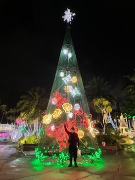 美らヤシパークオキナワ・東南植物楽園に投稿された画像（2021/12/23）