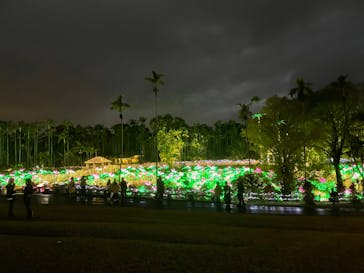 美らヤシパークオキナワ・東南植物楽園に投稿された画像（2021/12/23）