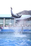 大分マリーンパレス水族館 「うみたまご」に投稿された画像（2021/12/23）