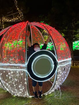 美らヤシパークオキナワ・東南植物楽園に投稿された画像（2021/12/23）