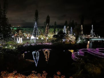 美らヤシパークオキナワ・東南植物楽園に投稿された画像（2021/12/23）