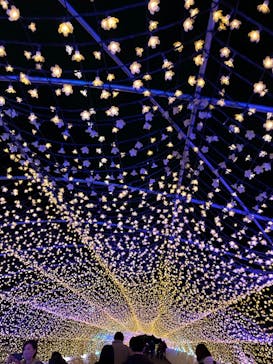 東京メガイルミに投稿された画像（2021/12/23）