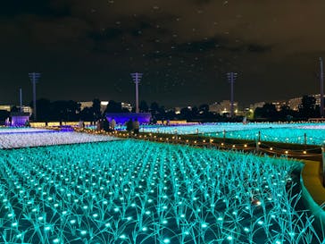 東京メガイルミに投稿された画像（2021/12/23）