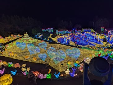 伊豆ぐらんぱる公園に投稿された画像（2021/12/23）