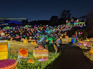 伊豆ぐらんぱる公園に投稿された画像（2021/12/23）